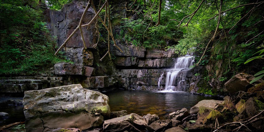 Waterfall spurting over mossy rocks in a forest, one of the famous waterfalls in Kodaikanal