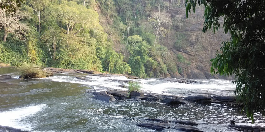 Waterfall rushing over rocks, surrounded by dense greenery and trees.