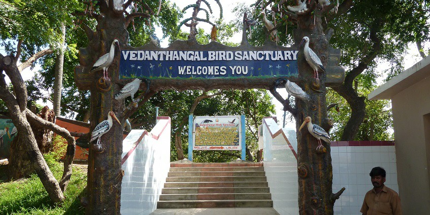 Places to visit near Kanchipuram feature the oldest bird sanctuary with diverse species of migratory birds