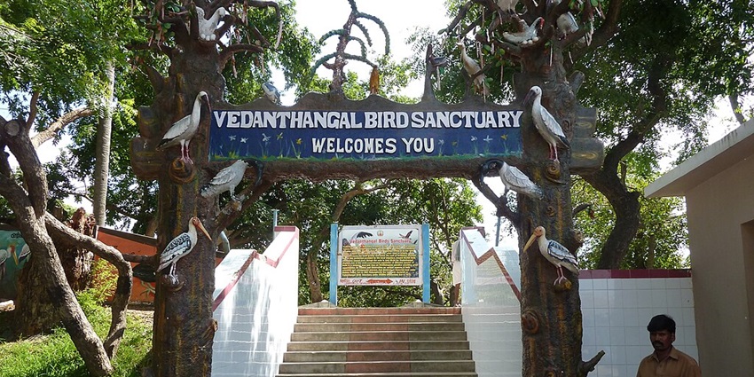 The road trips to Chennai feature bird sanctuary attracting migratory birds, perfect for birdwatching.
