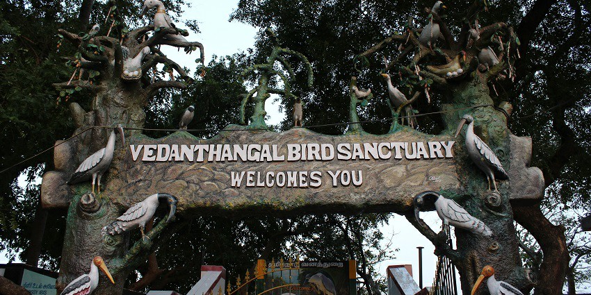 Vedanthangal Birds Sanctuary entrance situated close to the temple