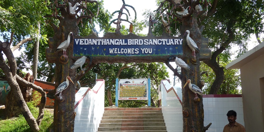 Vedanthangal is a renowned bird sanctuary with rocky areas for thrilling rock climbing.