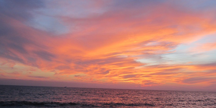 Velas Beach famous as an Olive Ridley turtle hatching site on the west coast of India