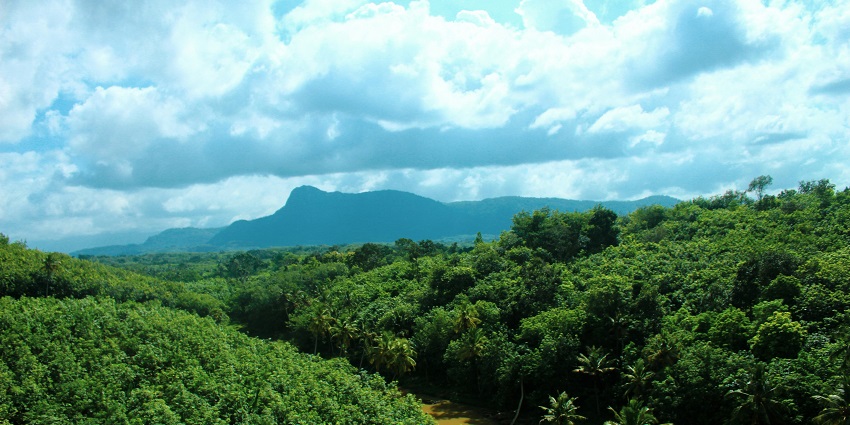 An image of a major hill peak view in the Megamalai tourist places list that is Vellimalai.