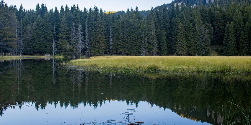 A breathtaking vista of Venna Lake in Maharashtra surrounded by lush green vegetation.