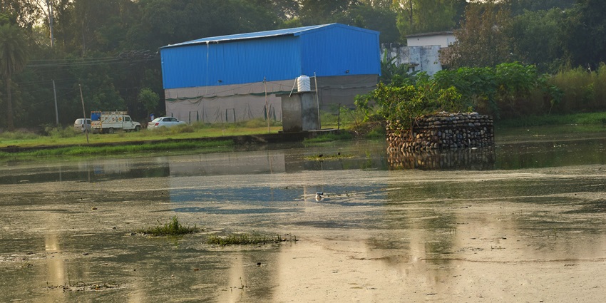 Vihar Lake is among the best tourist places in Ghatkopar for picnics and relaxation.