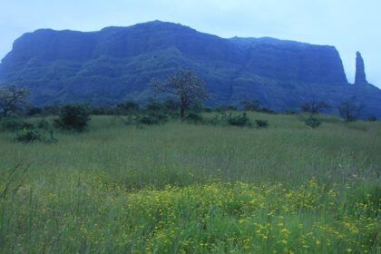 Vikramgad Fort, the historical site surrounded by stunning natural landscapes.