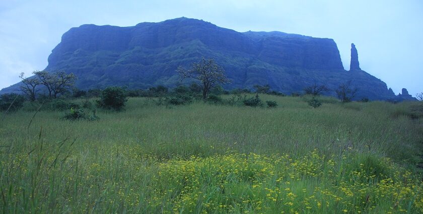 Vikramgad Fort, the historical site surrounded by stunning natural landscapes.