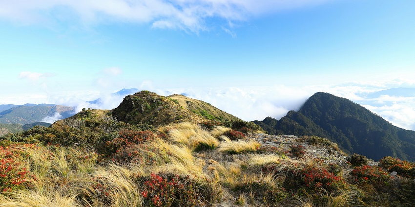 A picture of Lonavala trekking to Visapur Fort by tough terrains, captured on a sunny day