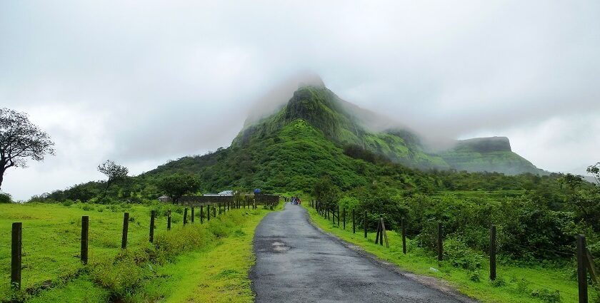 An image of Visapur Fort trekking showing rugged paths with lush greenery and scenic views