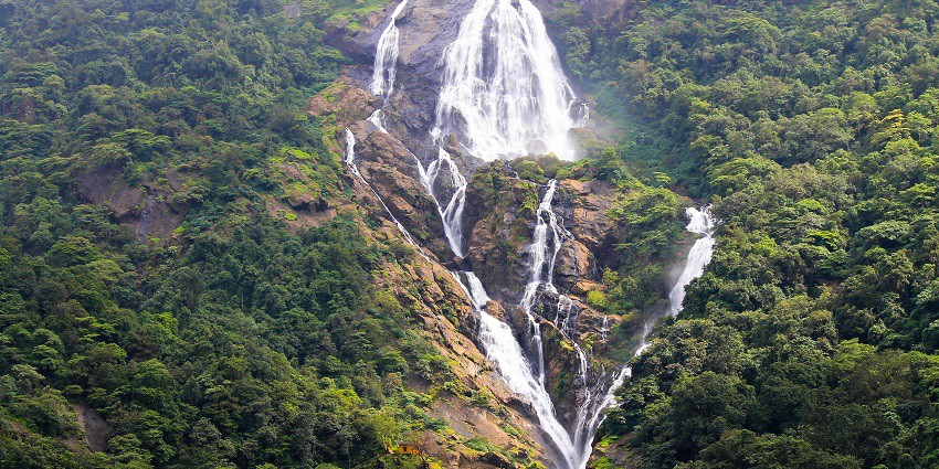 Dudhsagar Waterfall, a cascading marvel, known for its milky white gushing waters