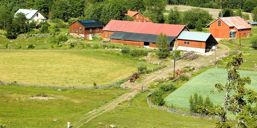 An aerial image of a farm with medicinal herbs similar to Government Herbal Farm