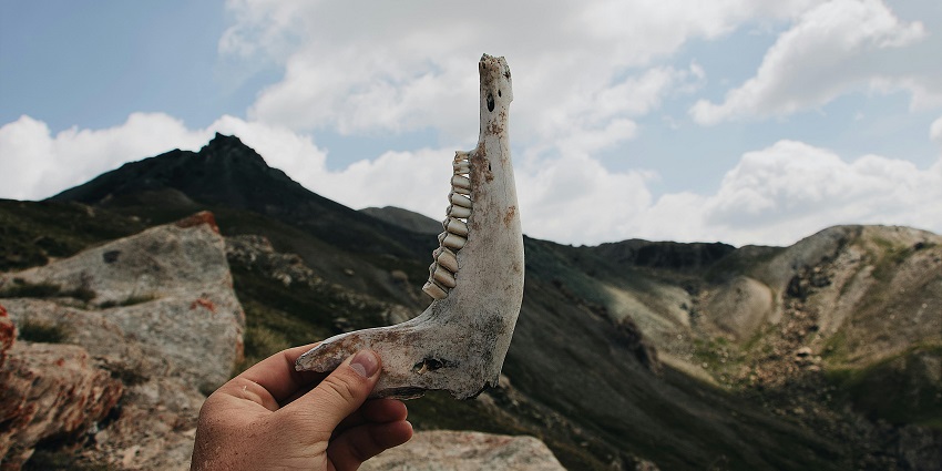 Interpretation Centre at Fossil National Park, displaying informative exhibits on fossils.