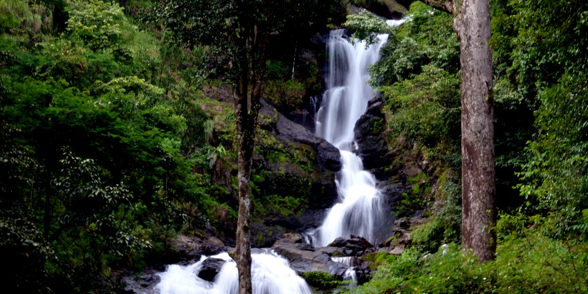 Iruppu Falls are surrounded by lush greenery, perfect for nature lovers