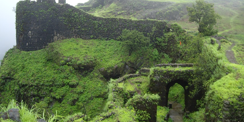 Image of Korigad Fort covered in lush green grass - visit this stunning fort for best things to do in Mulshi