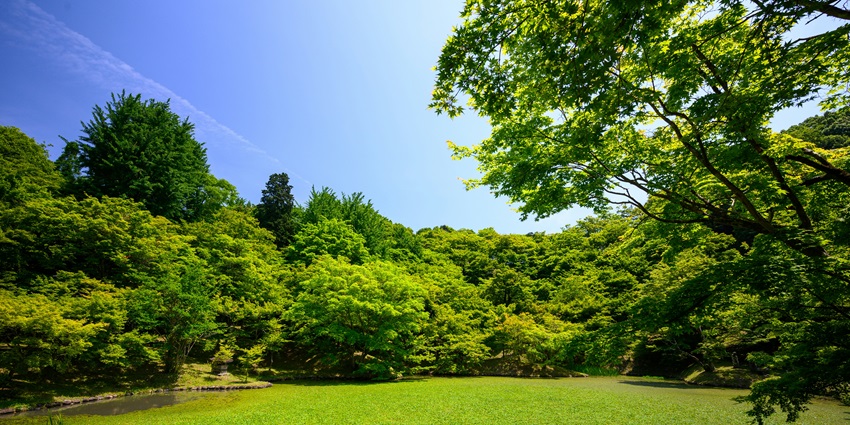 Nehru Smriti Udyan is one of the most lush green places to visit in Chiplun for all.