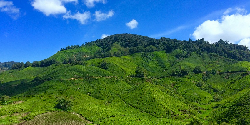 A glimpse of the famous Palamathi Hills with lush greenery and majestic mountains.