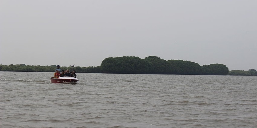 An image of a boat ride through Mangrove Forest, one of the best things to do in Tamil Nadu