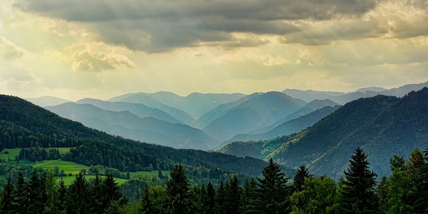 The dense greenery of Taloja Hill Forest is a calm spot for trekking and nature walks.