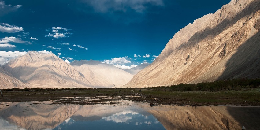 Exploring the scenic Nubra Valley is one of the most breathtaking things to do in Ladakh.