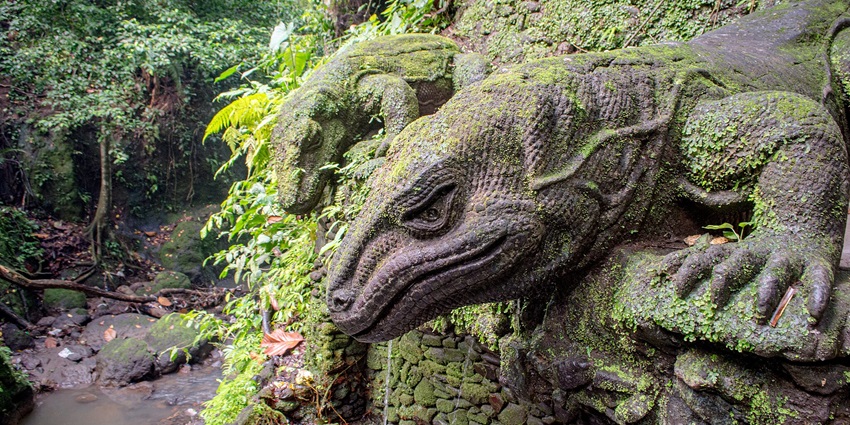 The crab-eating monkey in the Sacred Monkey Forest Sanctuary in Ubud, Indonesia