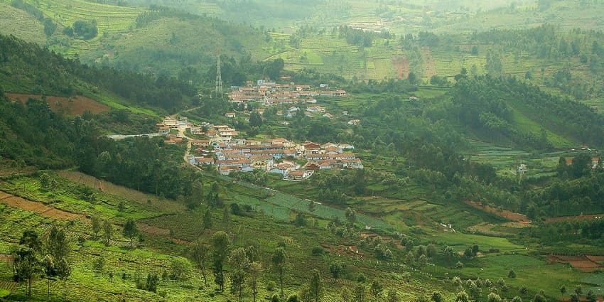 A picture of Tea estates, visiting this place is one of the best things to do in Kotagiri.