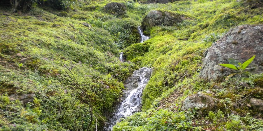 A picture of Vellamalai with a rolling hill, one of the best things to do in Megamalai.
