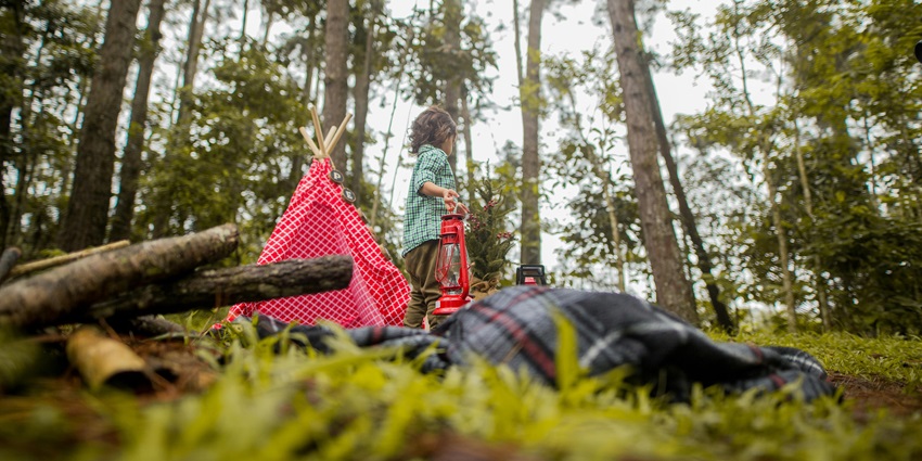 Three white camps are set up in the forest with greenery all around the campsite.