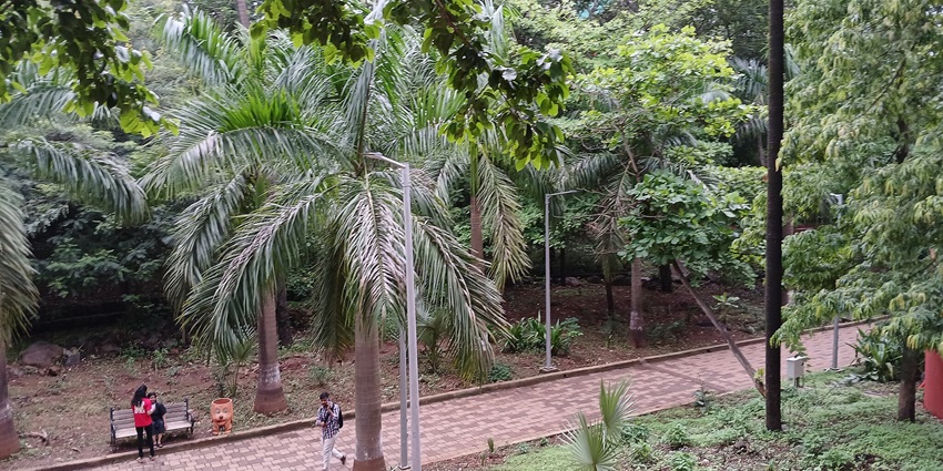 Visiting this heritage garden is among the best things to do in Powai, Maharashtra.