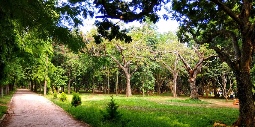 A scenic view of the Cubbon Park entrance with lush greenery and a welcoming path