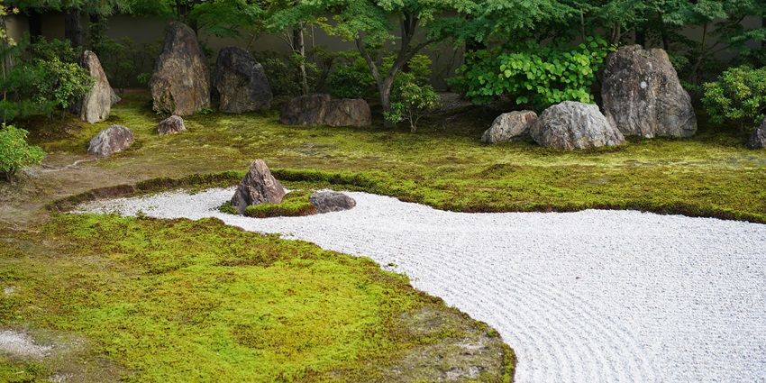 Wandering through the Rock Garden is one of the best things to do in Panvel, Maharashtra.