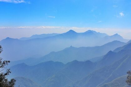 A beautiful view of Kodaikanal featuring abundant greenery and a vast, calm lake