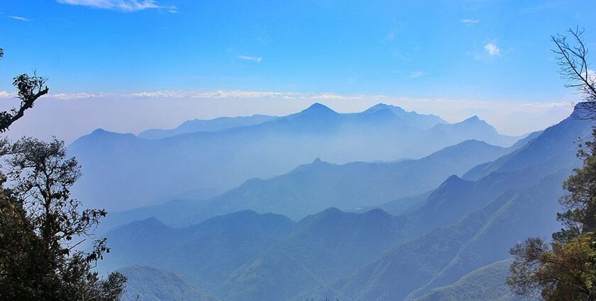 A beautiful view of Kodaikanal featuring abundant greenery and a vast, calm lake