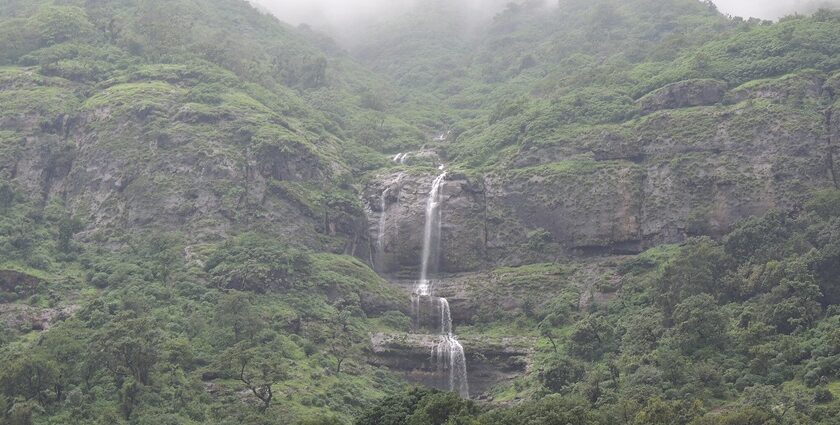 Scenic view of famous waterfalls in Maharashtra surrounded by abundant greenery and top hills.