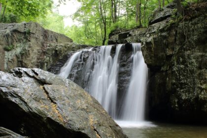 Numerous waterfalls in Tamil Nadu offer stunning views with mist-covered greenery.