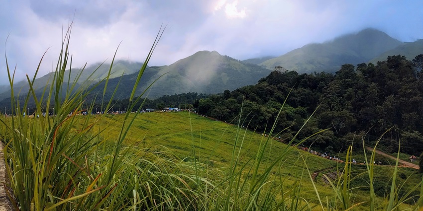 An astonishing view of lush green fields and dense forests of Wayanad in Karnataka.