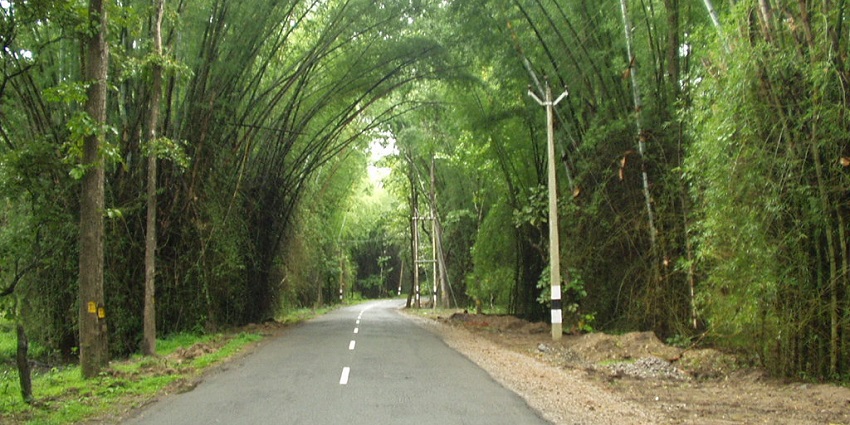 A stunning picture of Wayanad, which is one of the best hill stations near Hosur.