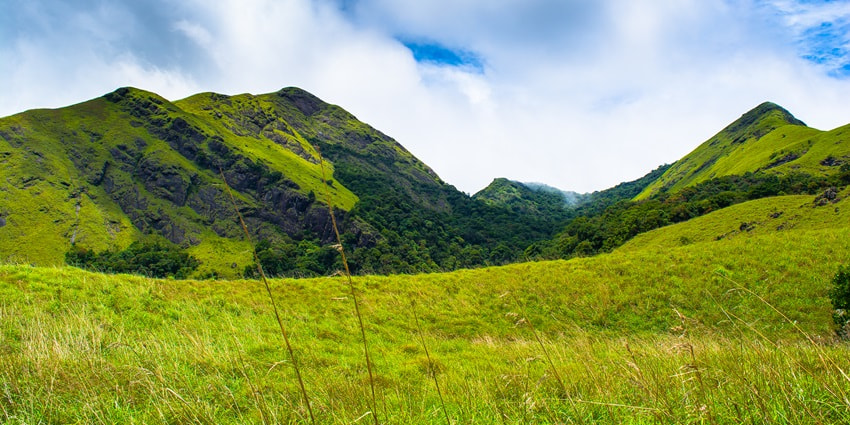 A picture of a beautiful landscape in Wayanad, Karnataka, taken on a sunny afternoon
