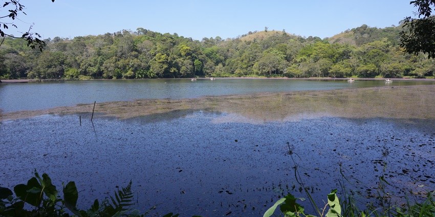 A picture of a giant water body with blue waters, surrounded by greenery and a forest area