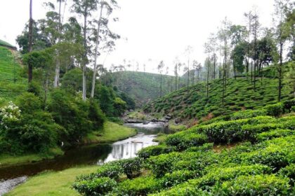 Weekend places near Coimbatore offer picturesque landscapes and vibrant culture