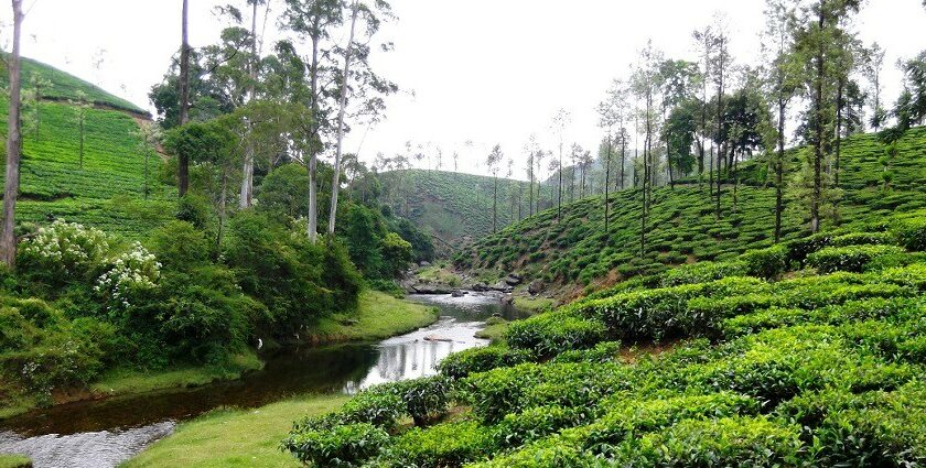 Weekend places near Coimbatore offer picturesque landscapes and vibrant culture