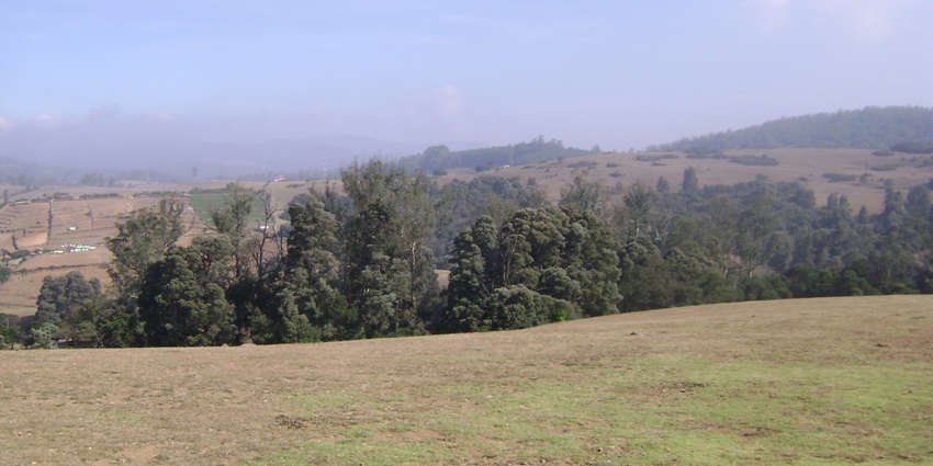 Wenlock Downs is one of the most popular places to visit near Gudalur for its views.