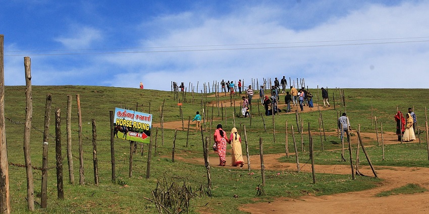 Places to visit near Ooty Tamil Nadu feature expansive grasslands ideal for picnics and nature walks.