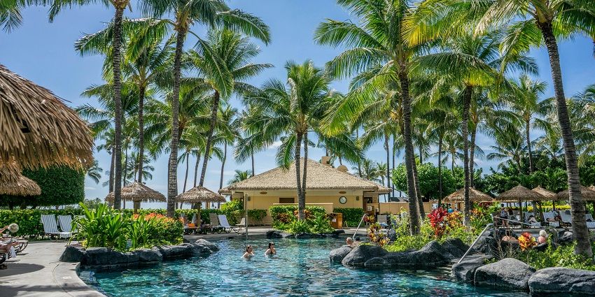 Inside a beach resort with a big swimming pool in the centre surrounded by tall palm trees