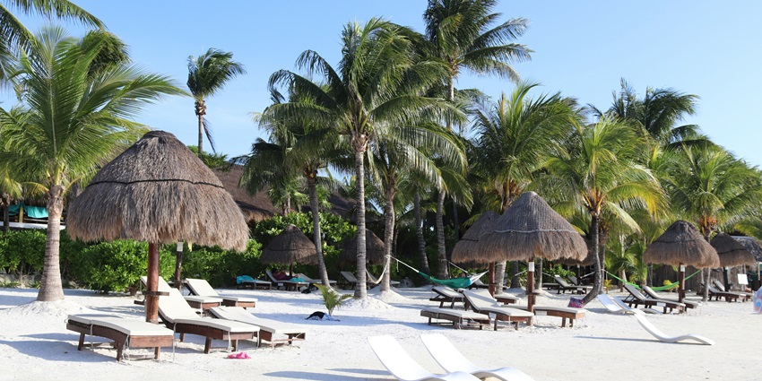 An image showing Resort overlooking the beach and palm trees near West Bali National Park