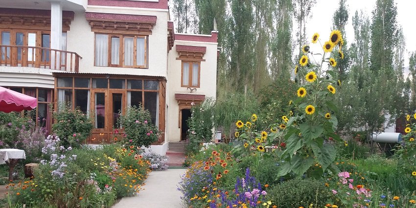 A breathtaking view of a guest house in Ladakh with stunning flowers surrounding it.