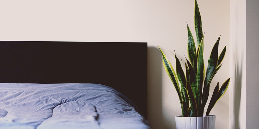 A neatly arranged bed with soft sheets, inviting relaxation and a peaceful sleep.