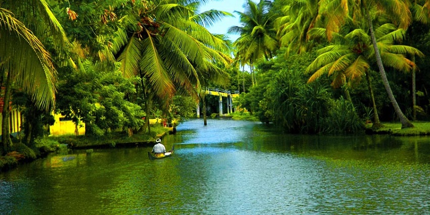 There are many accommodation options near Chembra Peak Trekking point.
