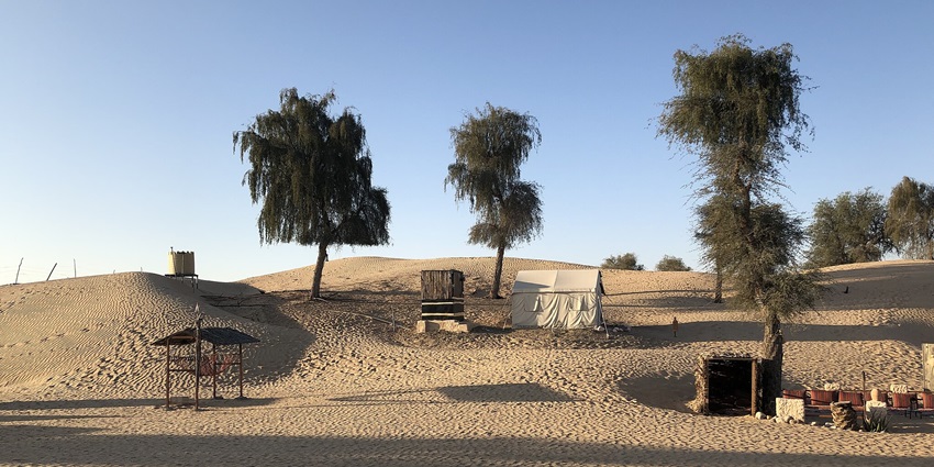 Pushkar offers budget hotels and eco-friendly resorts for night safaris.