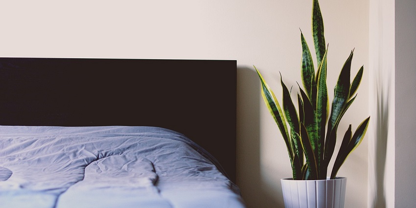Soft bedsheets arranged neatly, inviting relaxation and a restful night's sleep.